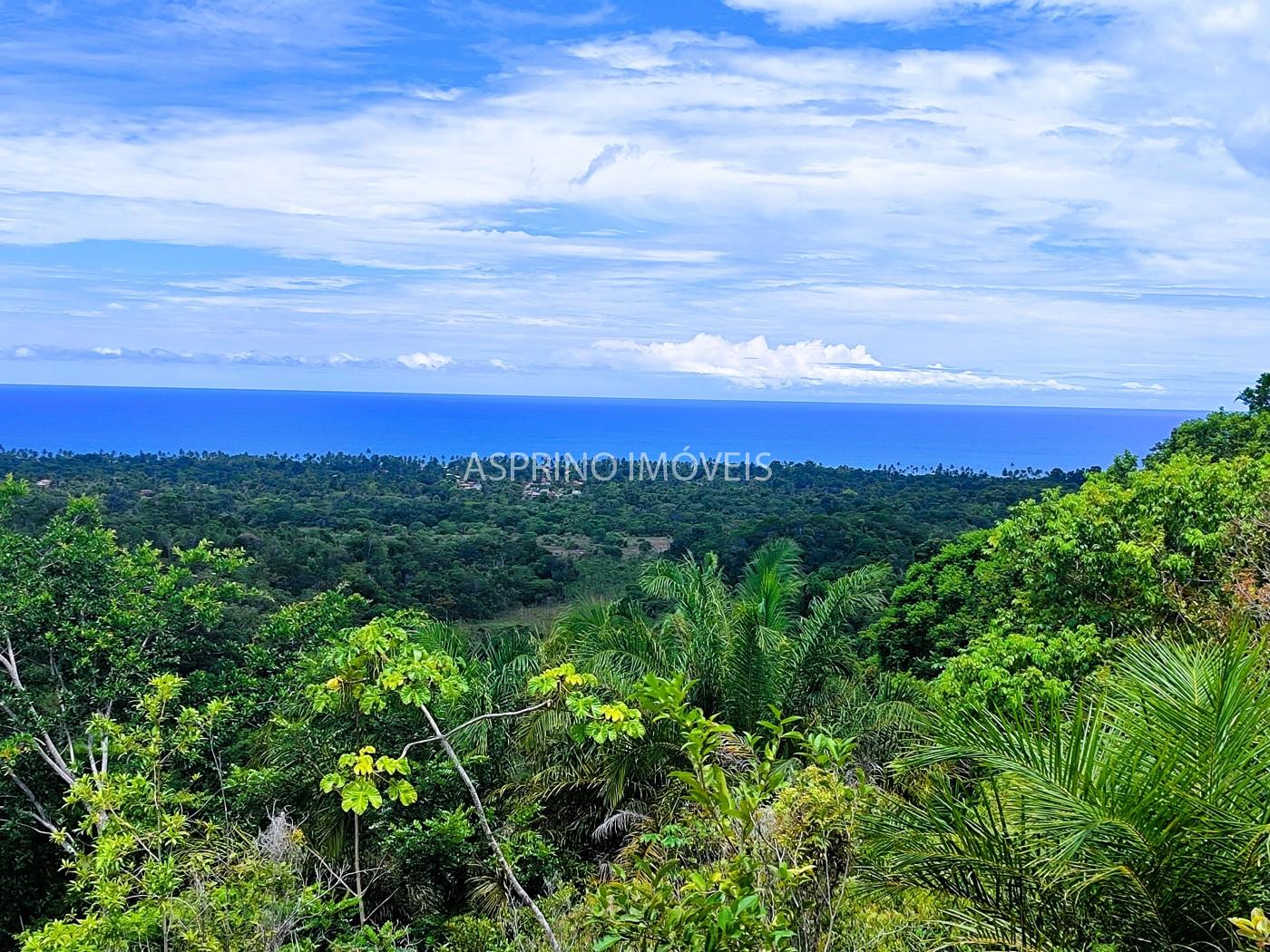 Terreno, 4 hectares - Foto 4