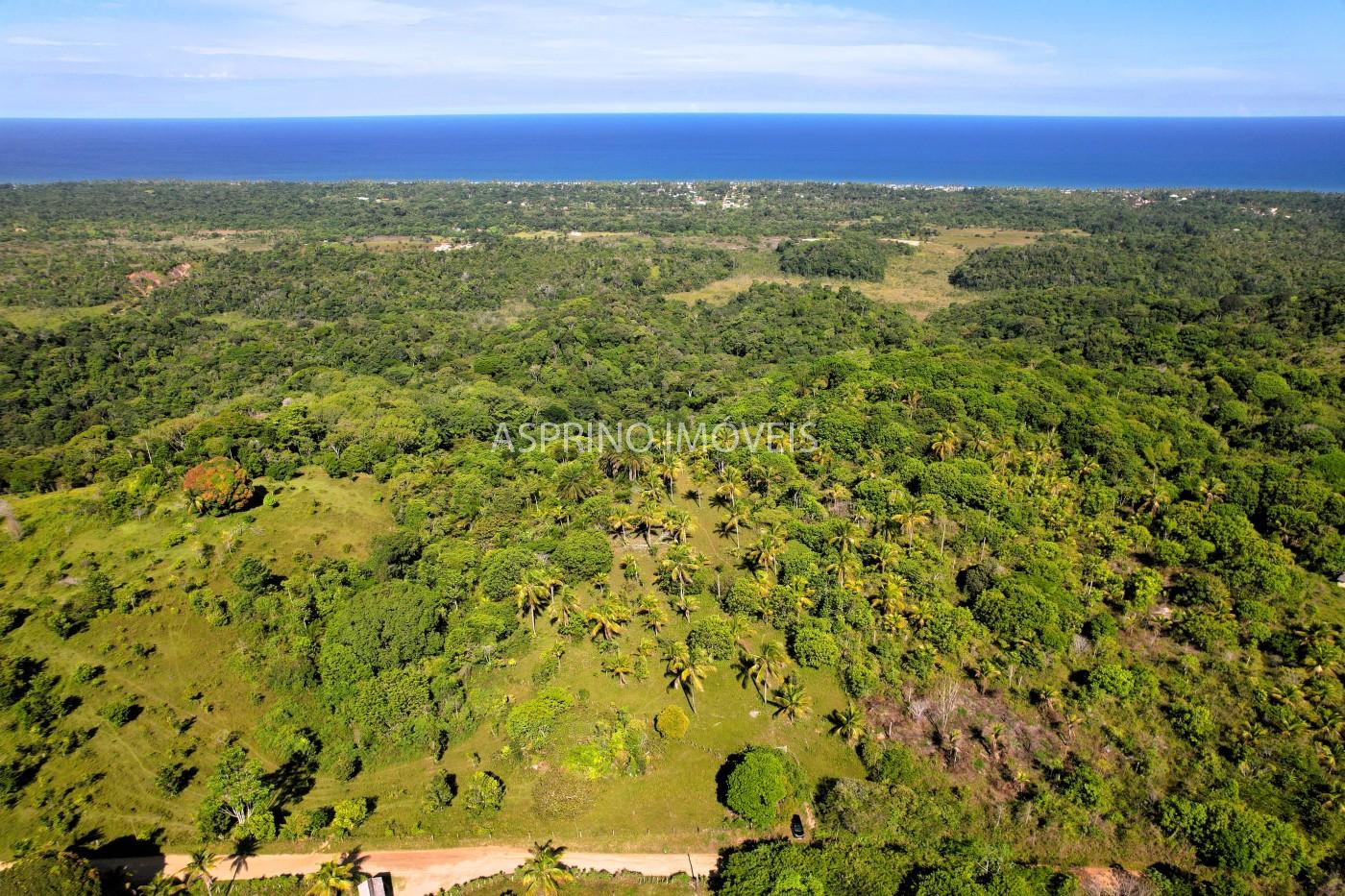 Terreno, 4 hectares - Foto 11