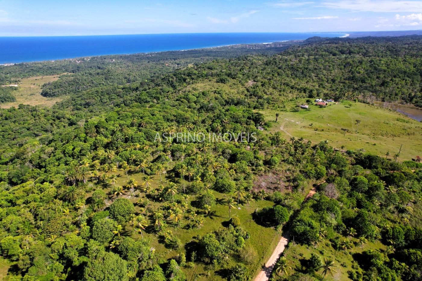 Terreno, 4 hectares - Foto 13