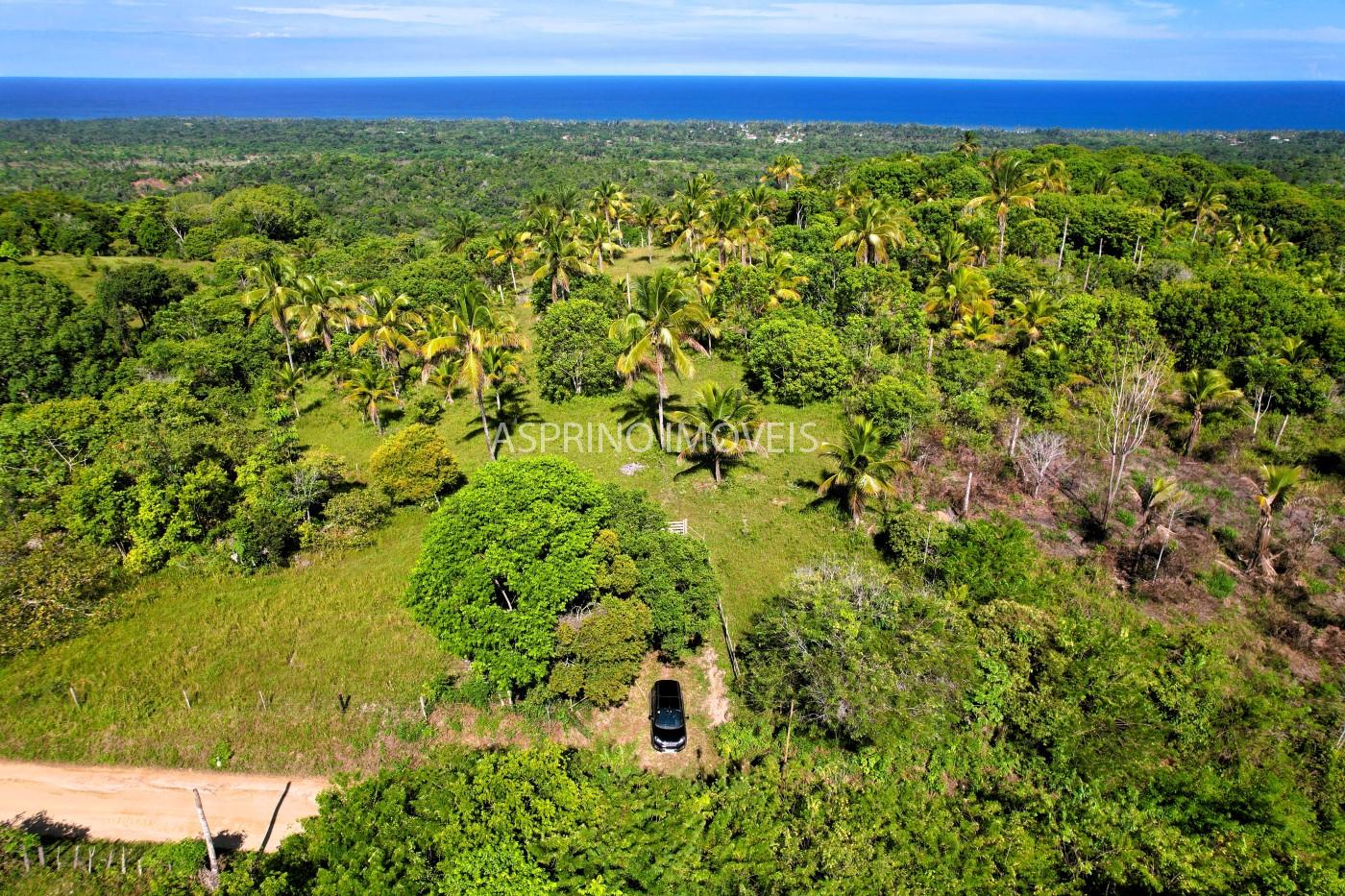 Terreno, 4 hectares - Foto 12