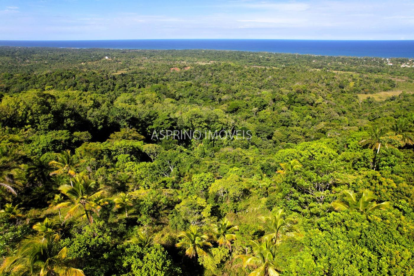 Terreno, 4 hectares - Foto 16