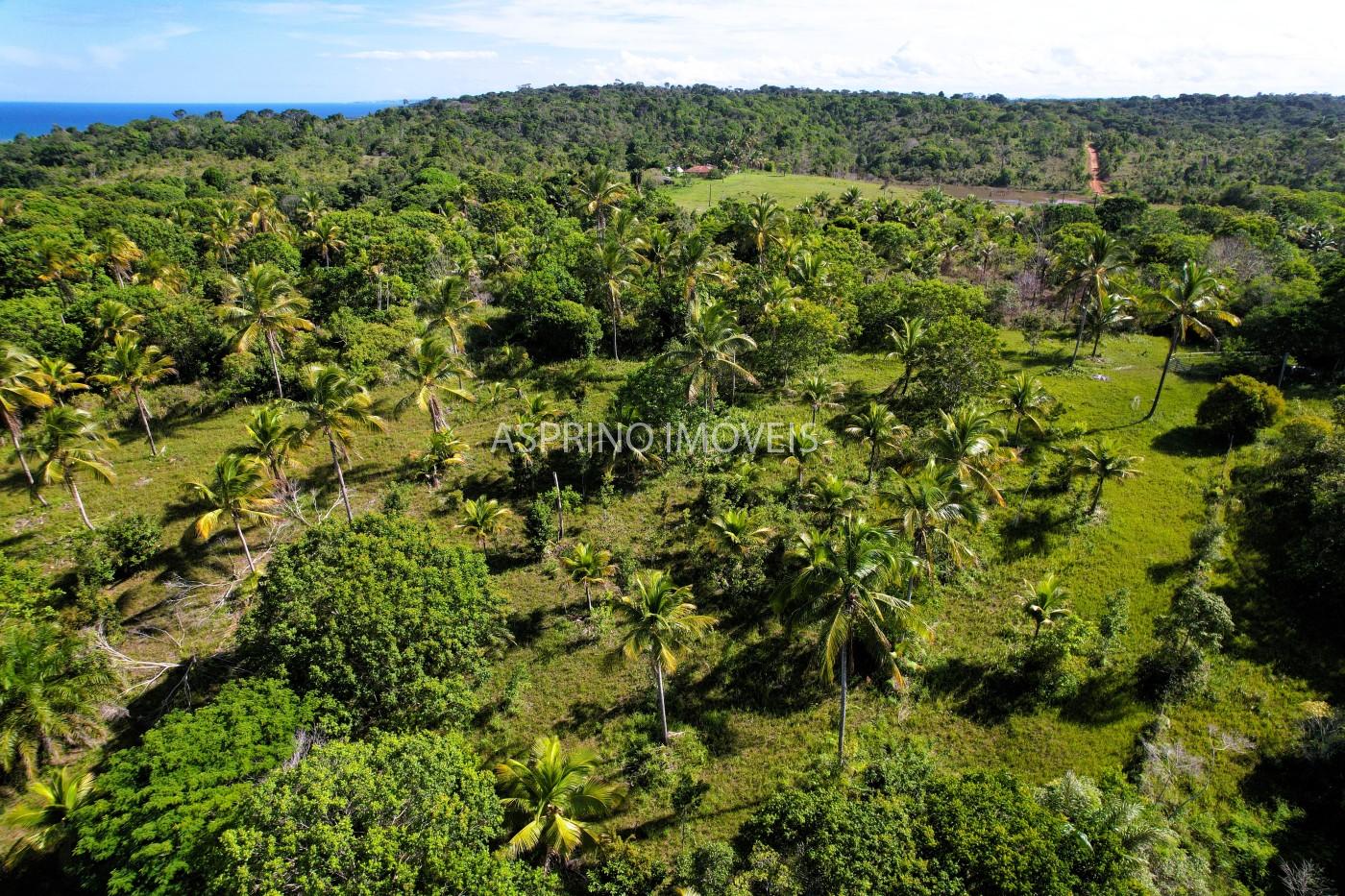 Terreno, 4 hectares - Foto 19