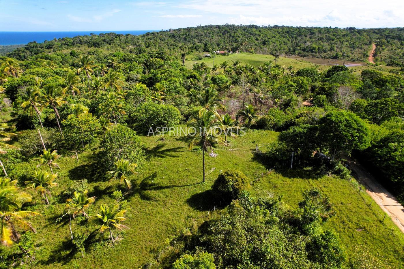 Terreno, 4 hectares - Foto 18