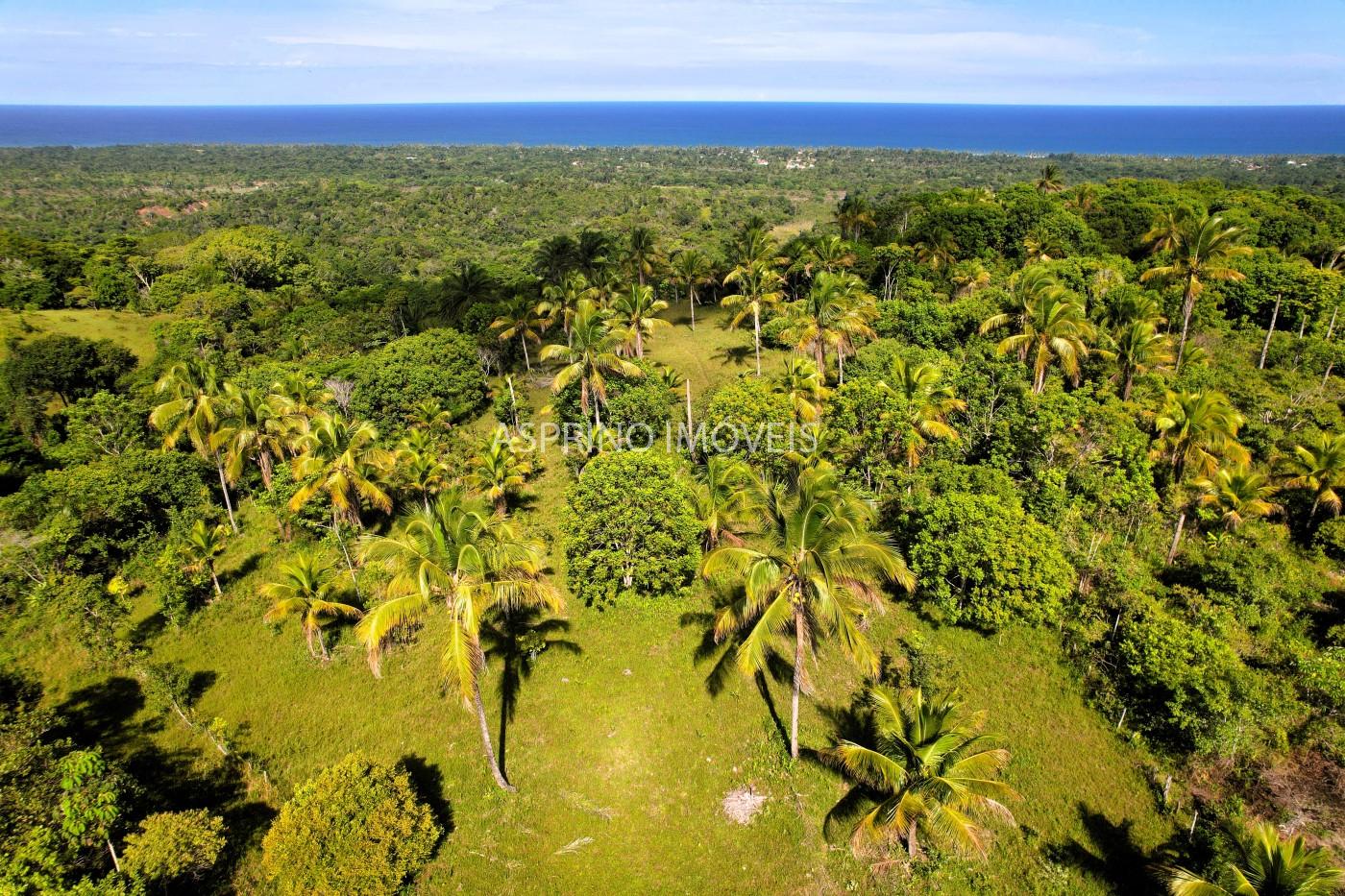 Terreno, 4 hectares - Foto 17