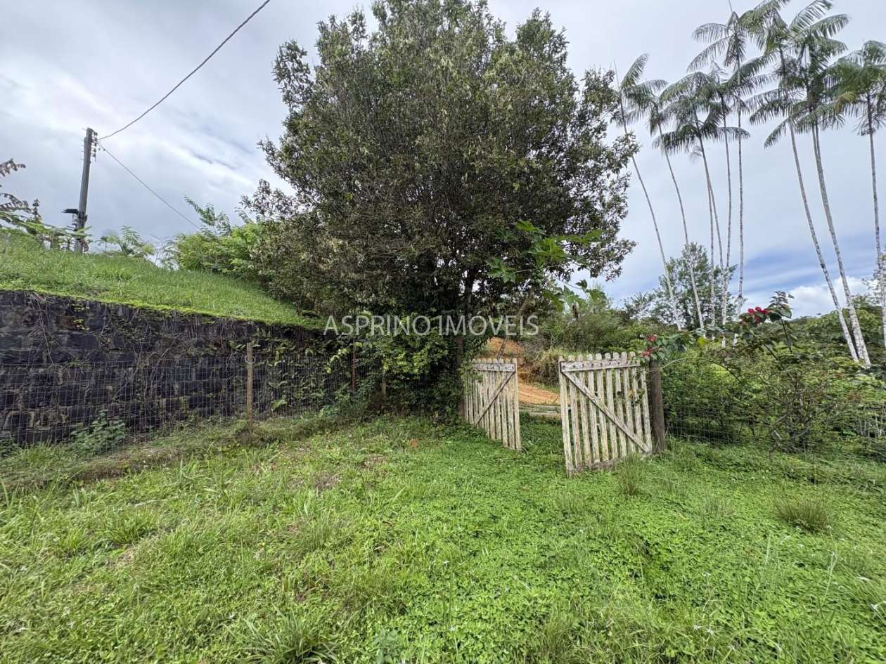 Fazenda, 13 hectares - Foto 11