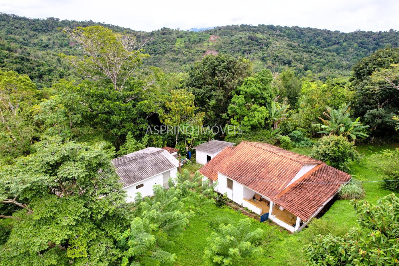 Fazenda, 13 hectares - Foto 4
