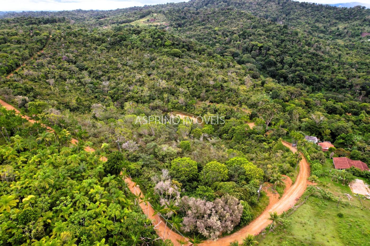Fazenda, 13 hectares - Foto 8