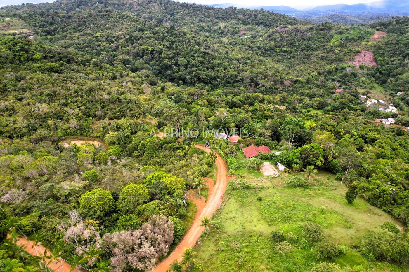 Fazenda, 13 hectares - Foto 7