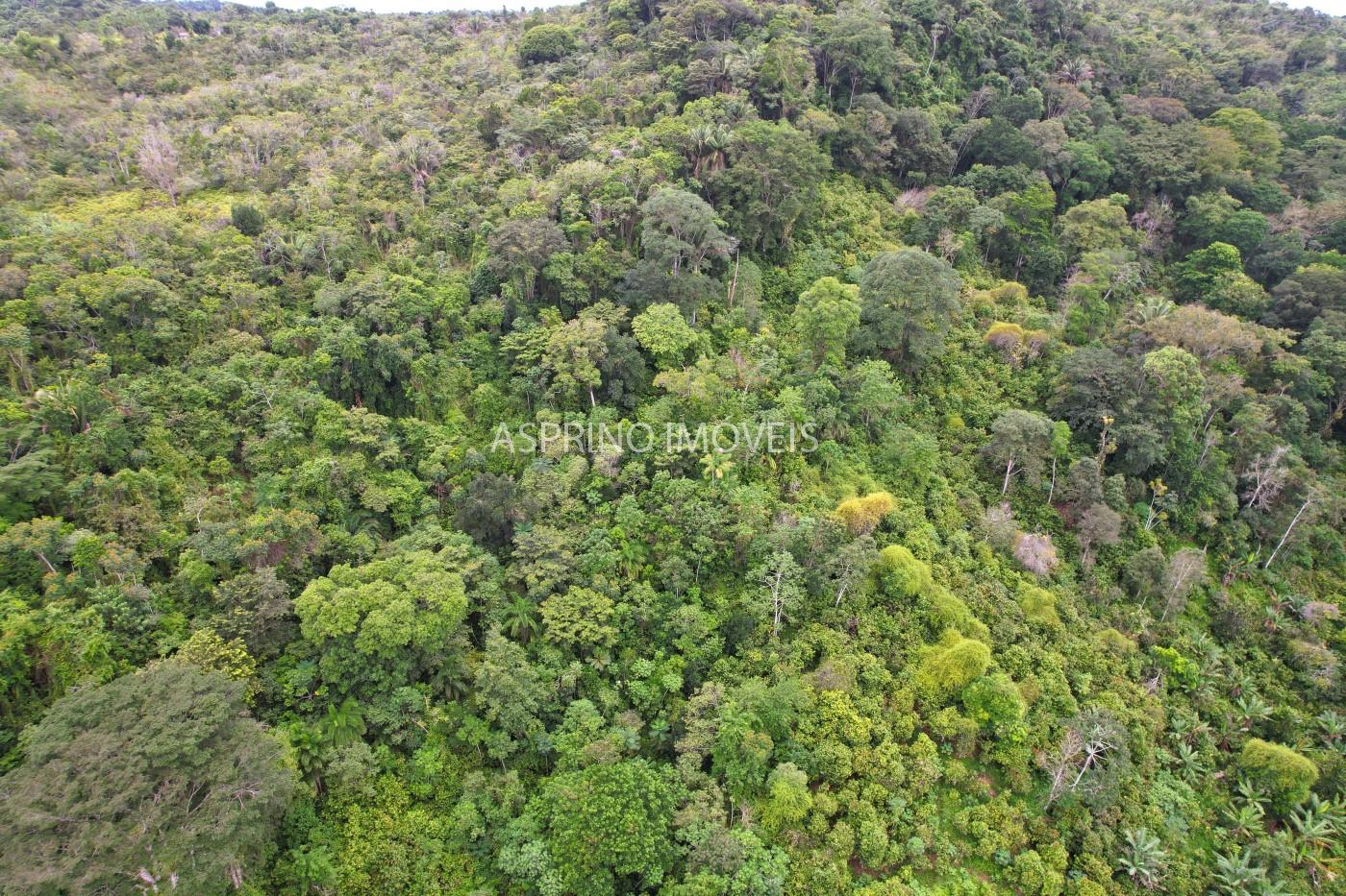 Fazenda, 13 hectares - Foto 19