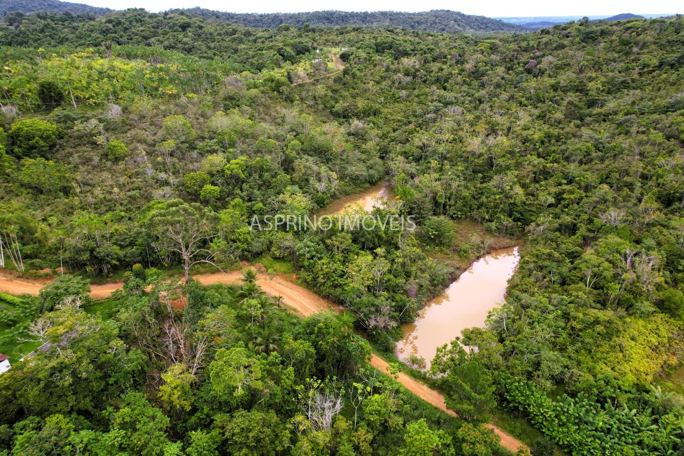 Fazenda, 13 hectares - Foto 25