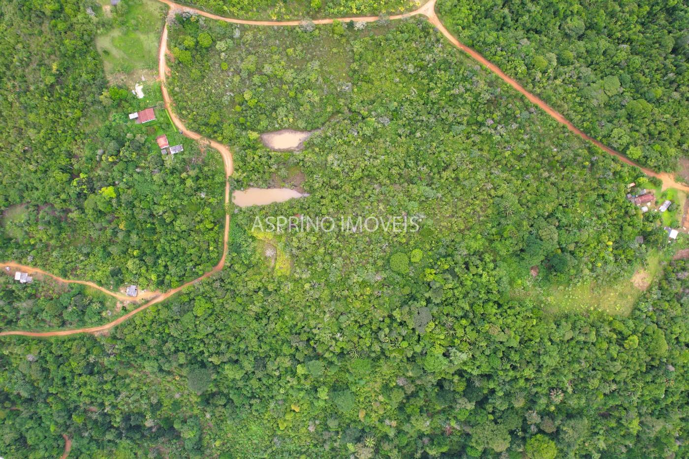 Fazenda, 13 hectares - Foto 26