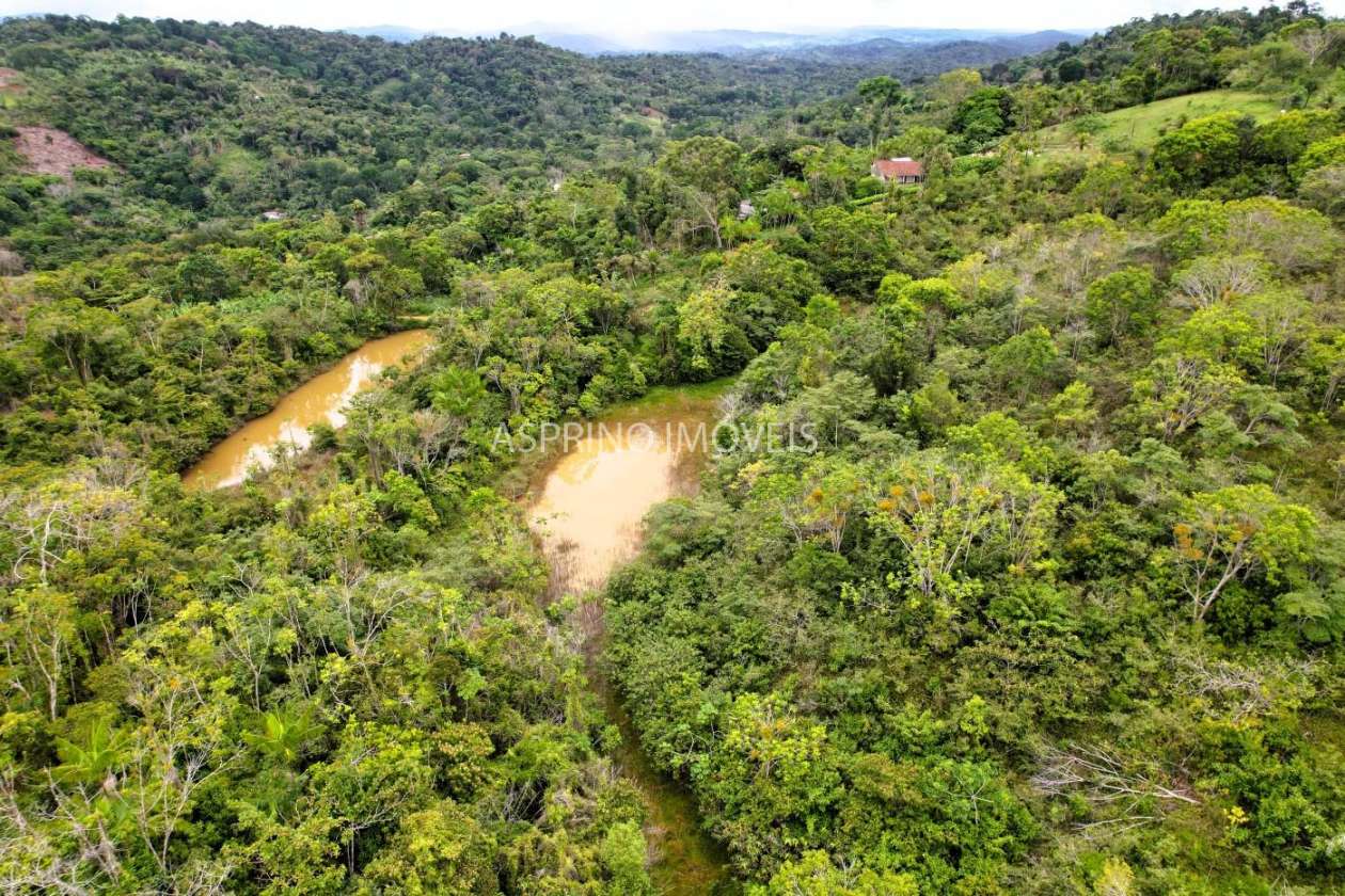 Fazenda, 13 hectares - Foto 24