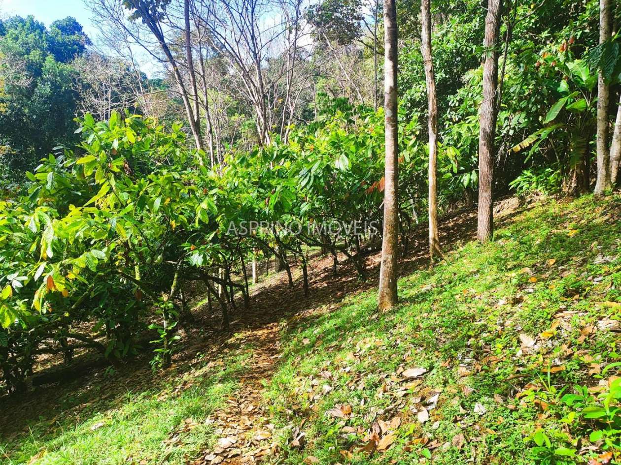 Fazenda, 19 hectares - Foto 25