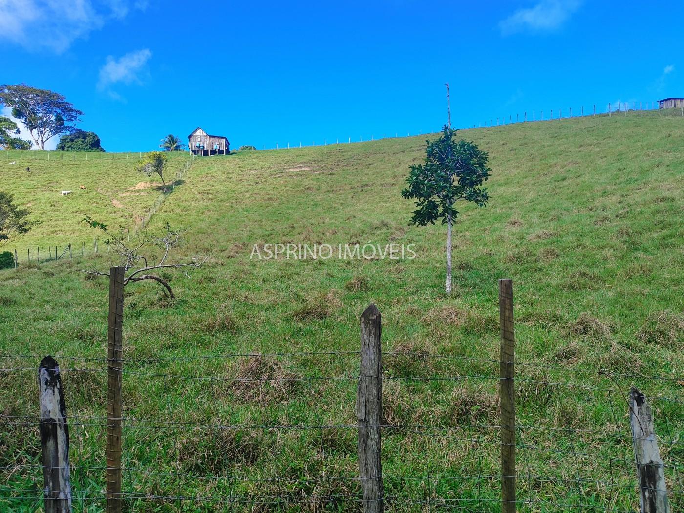 Fazenda, 19 hectares - Foto 22