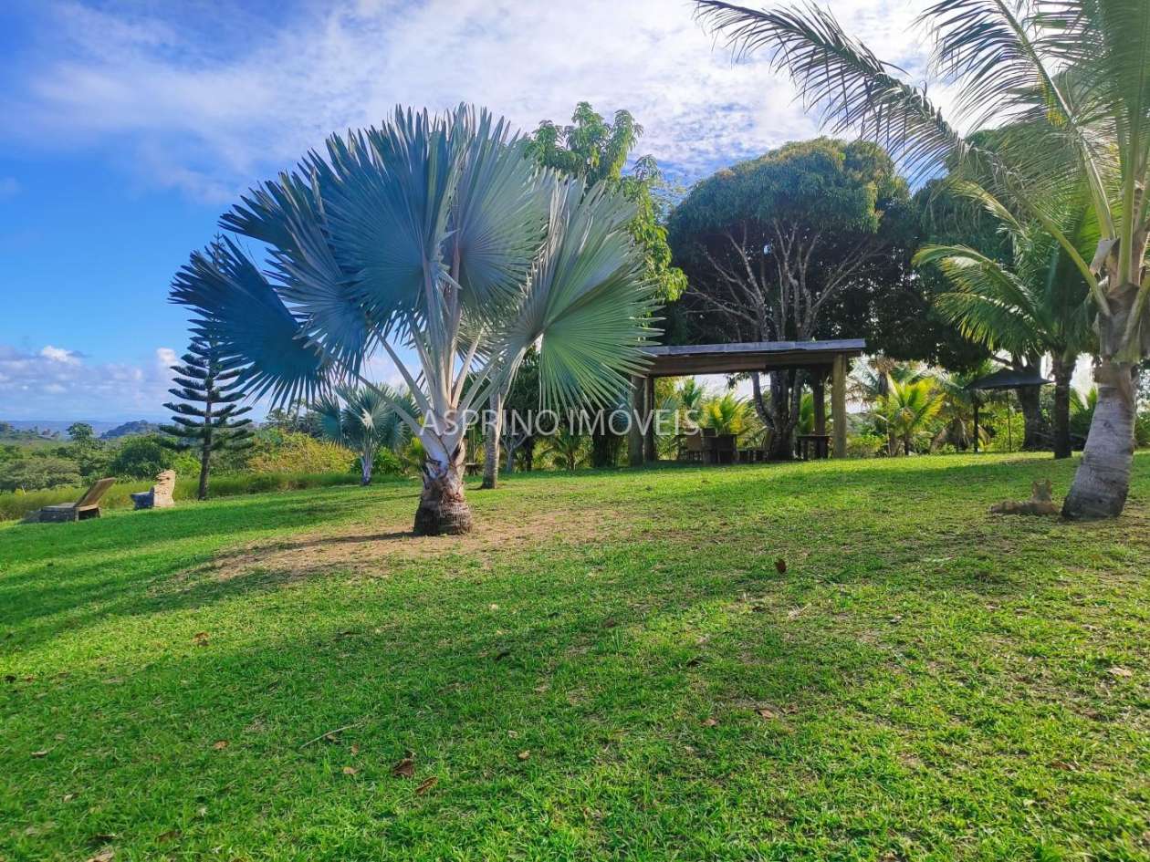 Fazenda, 19 hectares - Foto 8