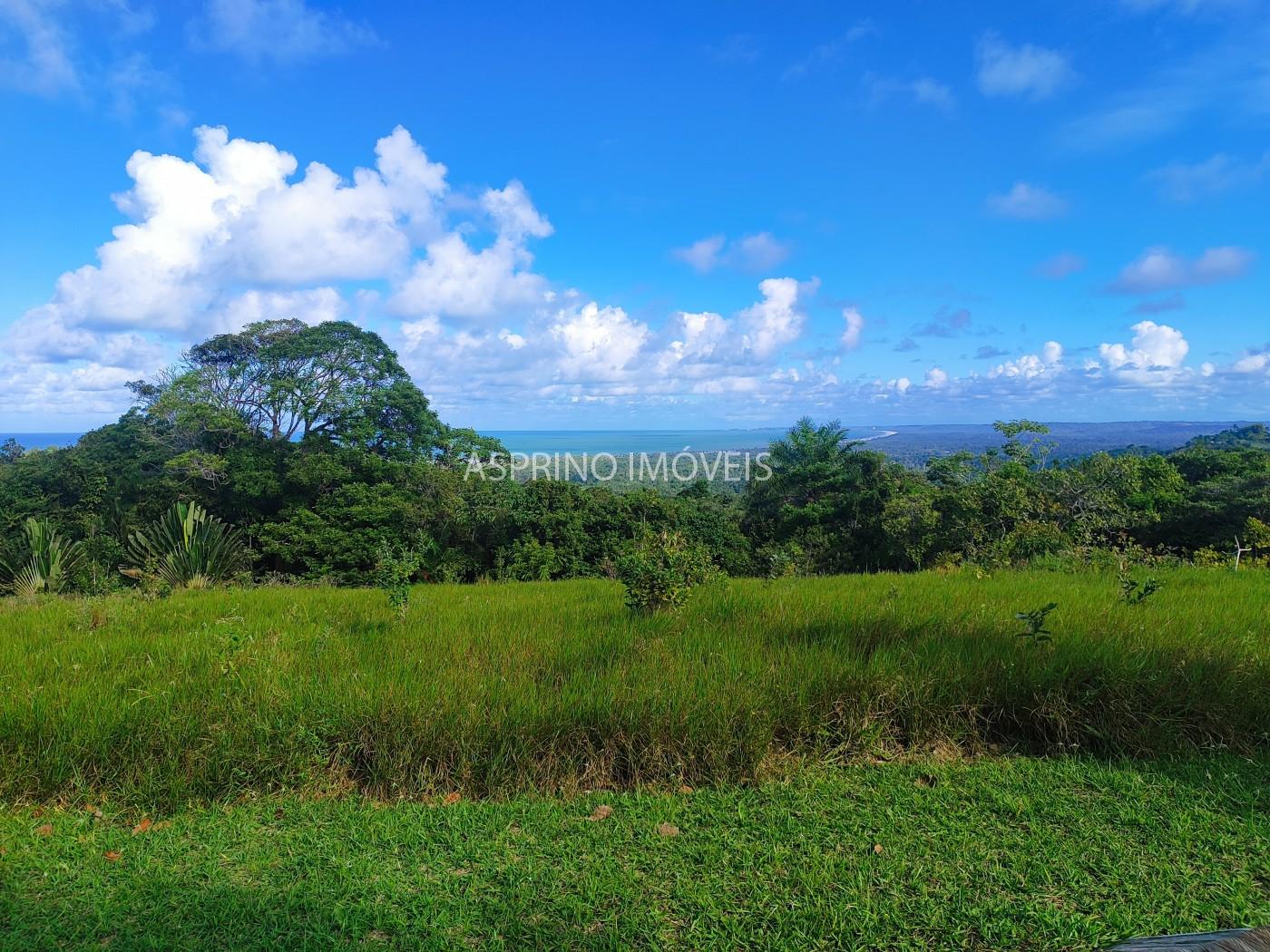 Fazenda, 19 hectares - Foto 13