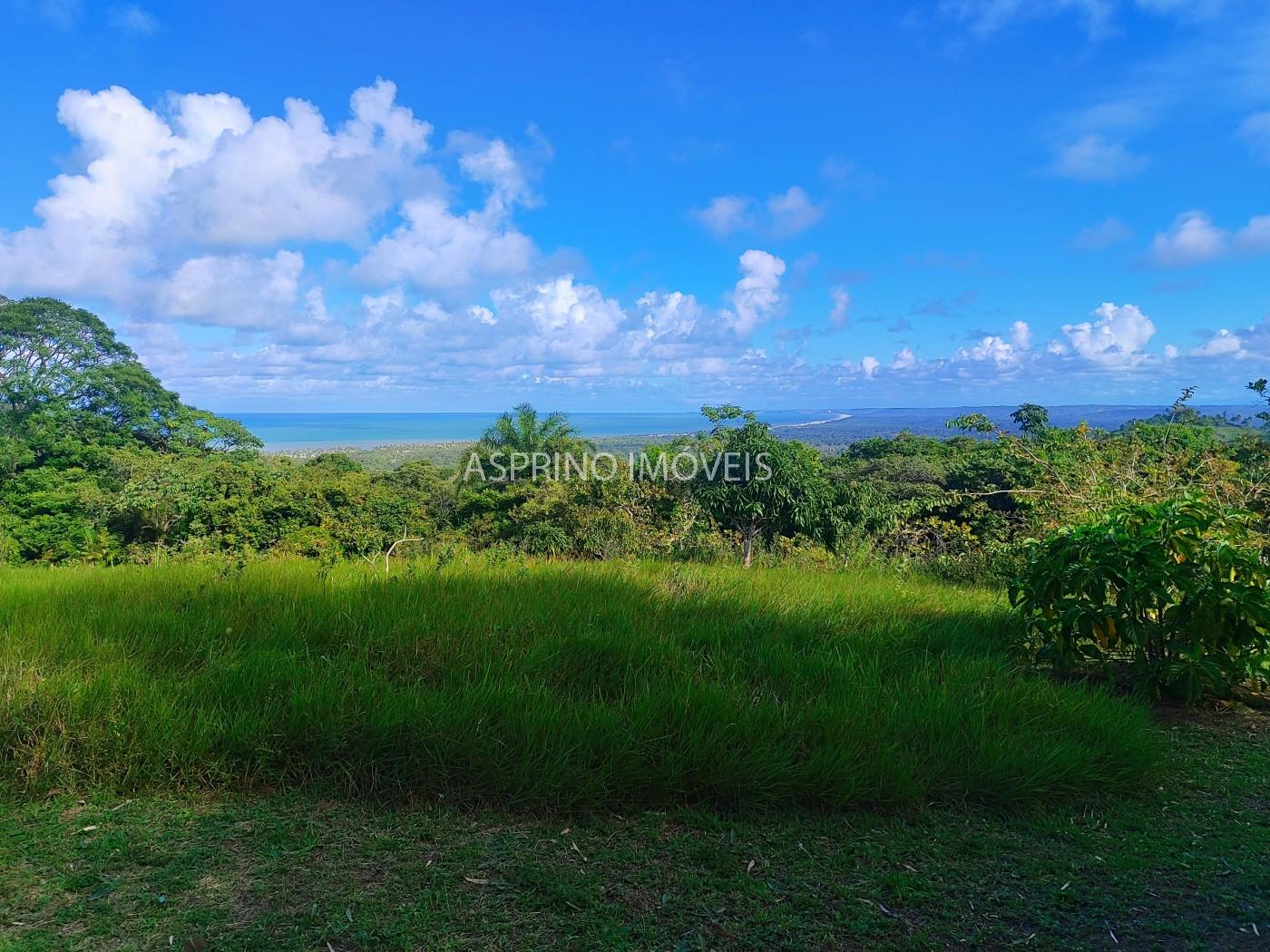 Fazenda, 19 hectares - Foto 12
