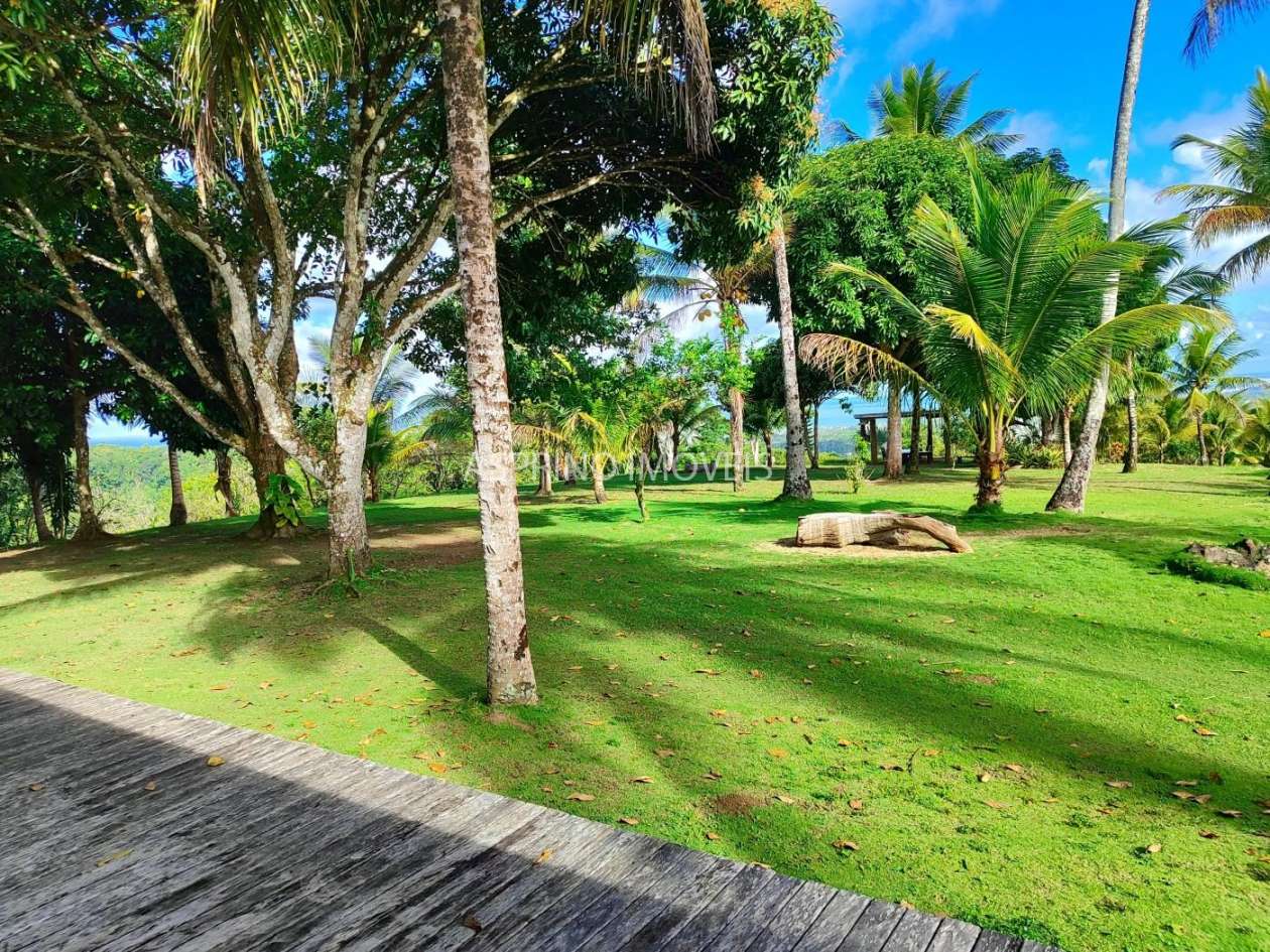 Fazenda, 19 hectares - Foto 6