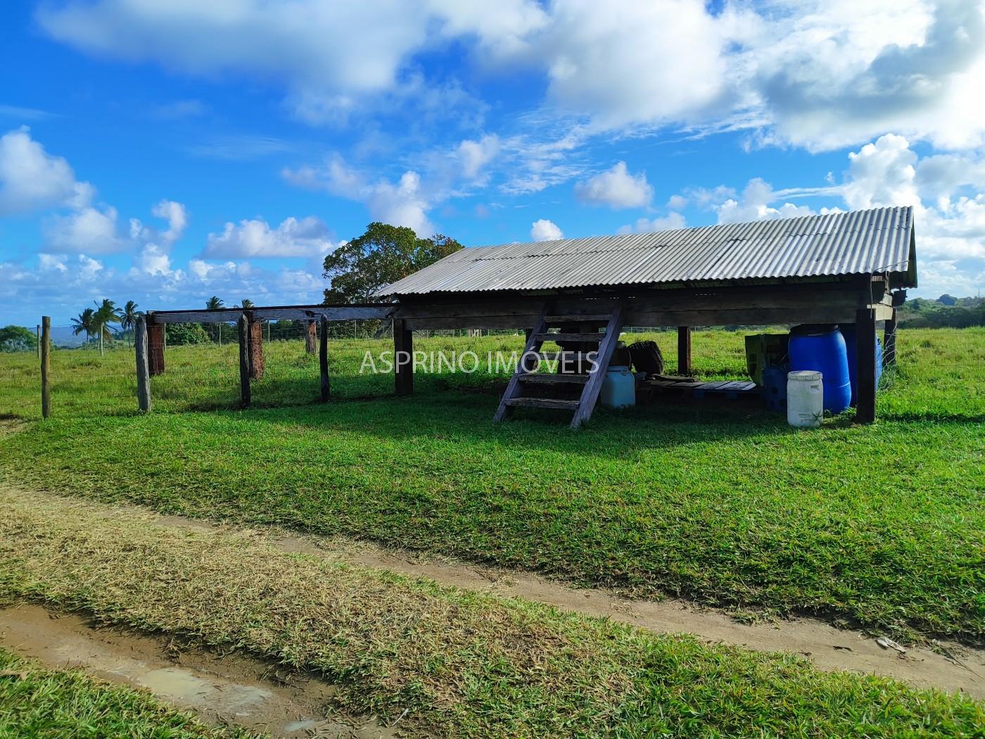 Fazenda, 19 hectares - Foto 32