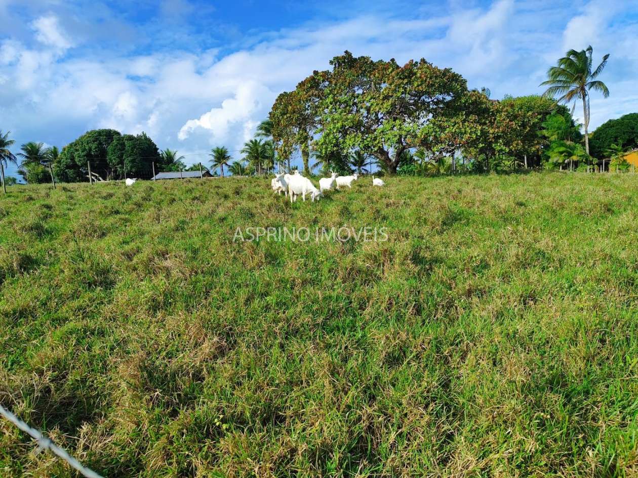 Fazenda, 19 hectares - Foto 21