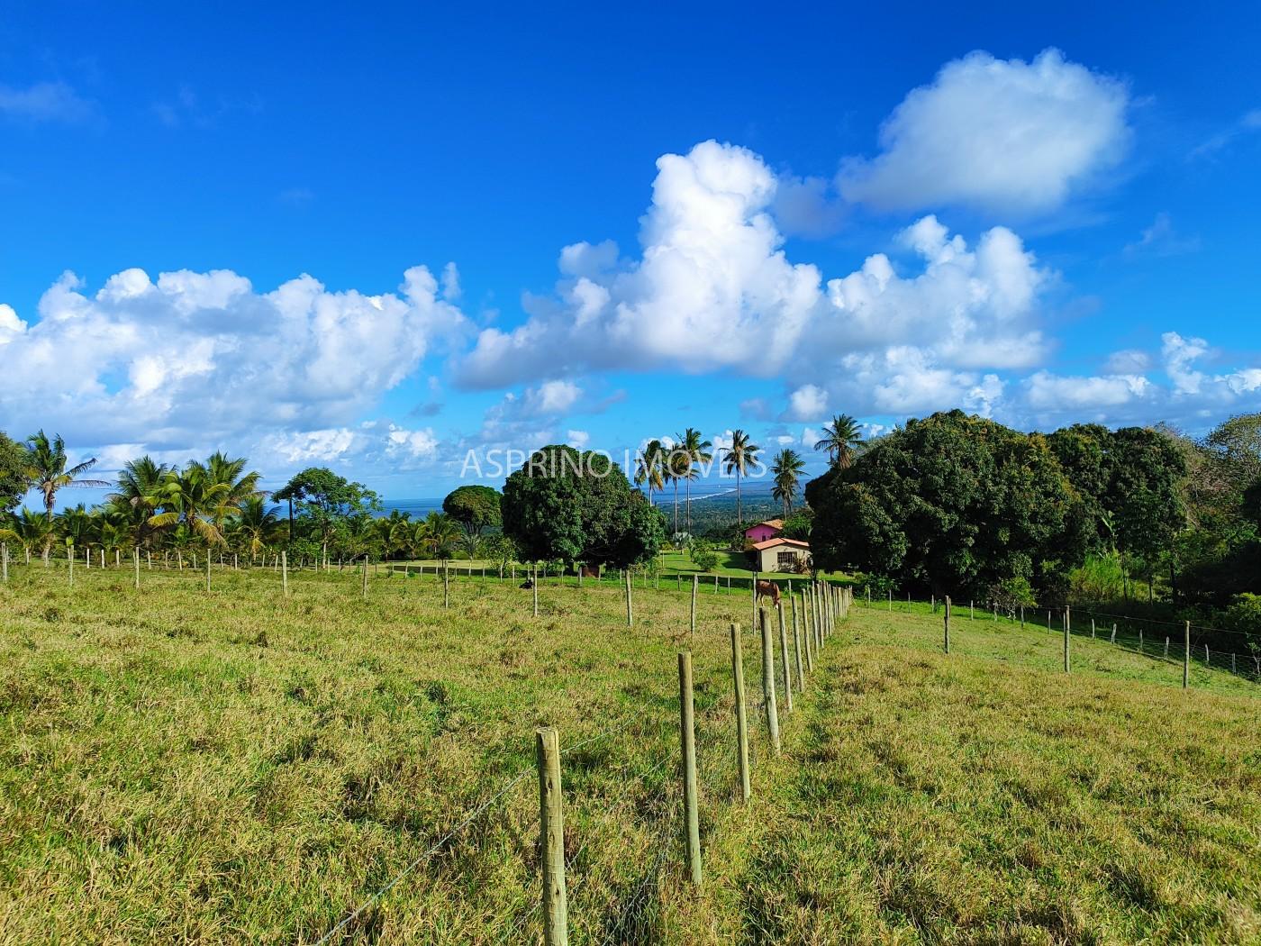 Fazenda, 19 hectares - Foto 1