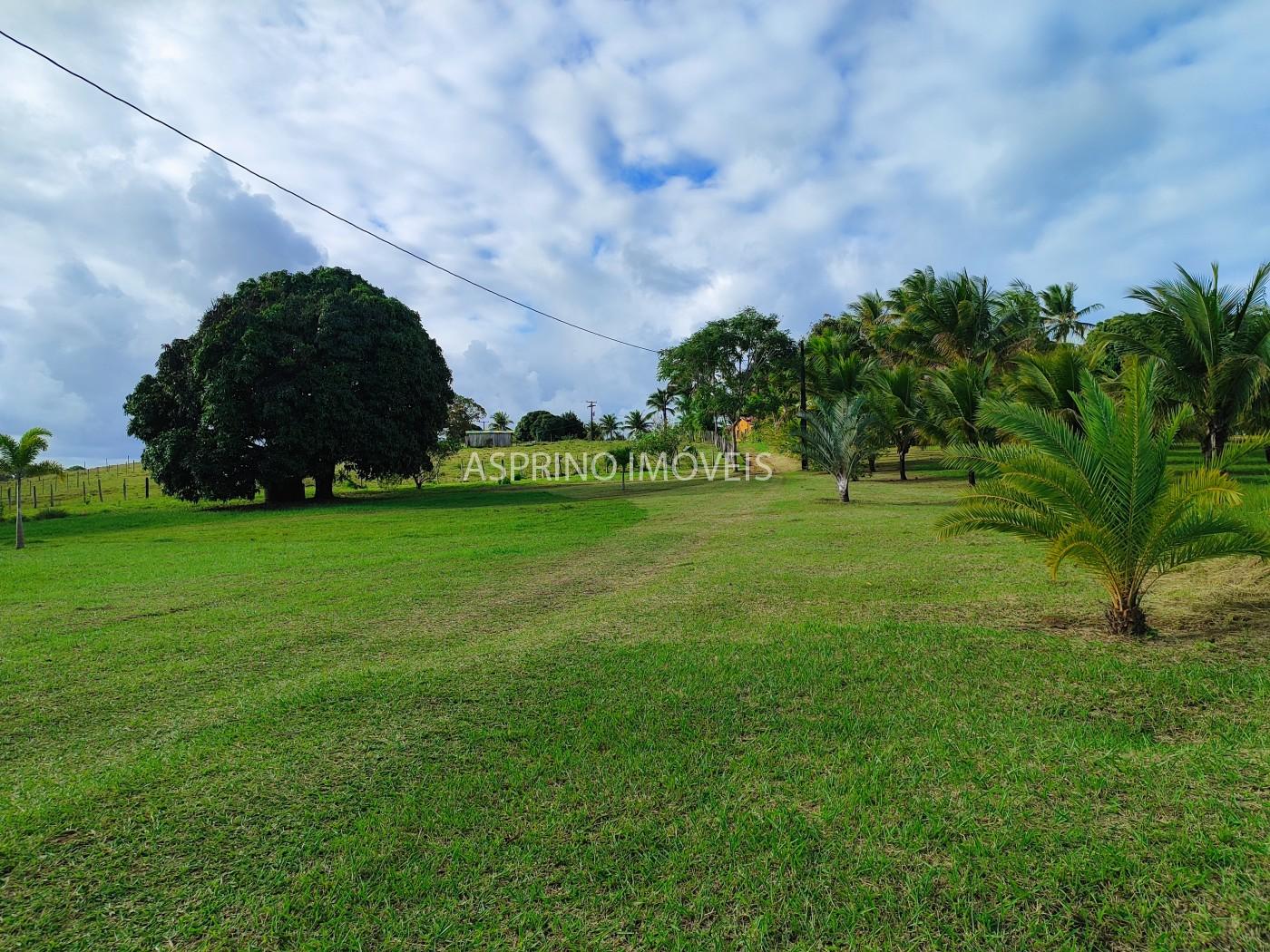 Fazenda, 19 hectares - Foto 36