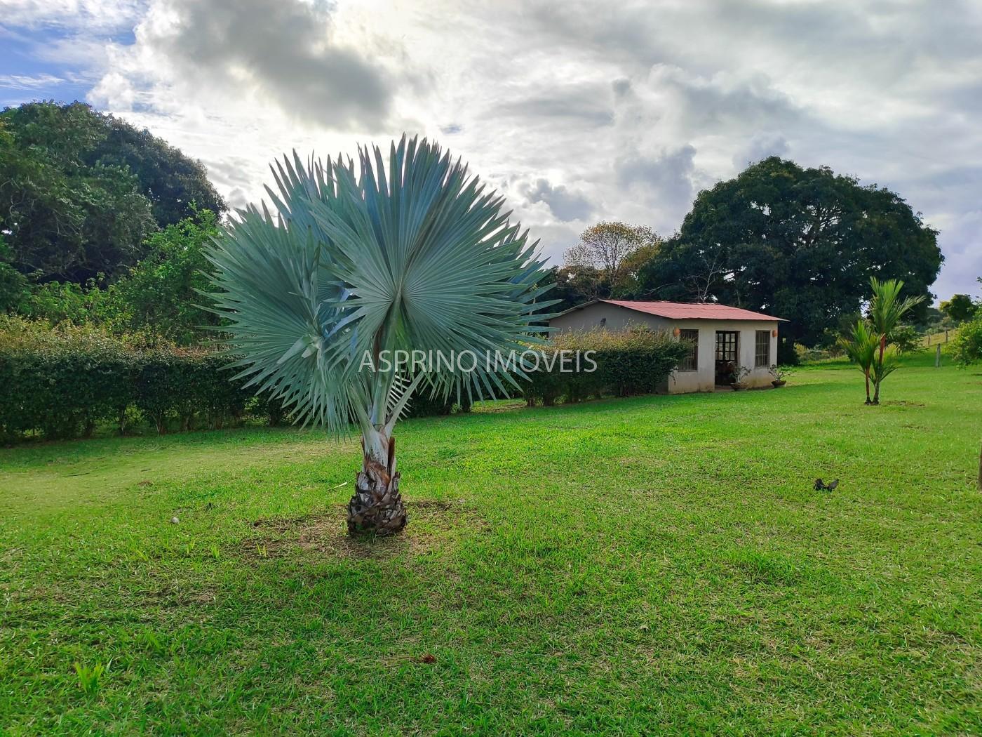 Fazenda, 19 hectares - Foto 16