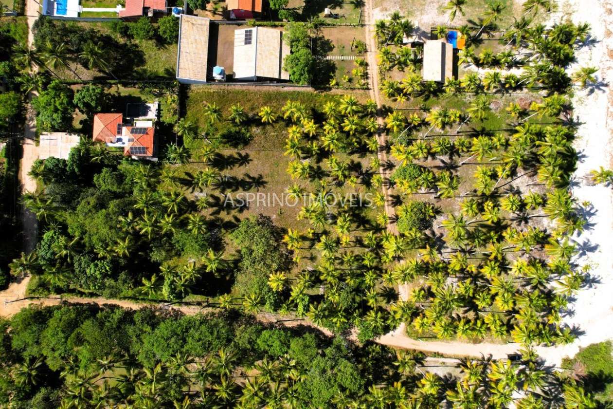 Terreno, 7329 m² - Foto 10