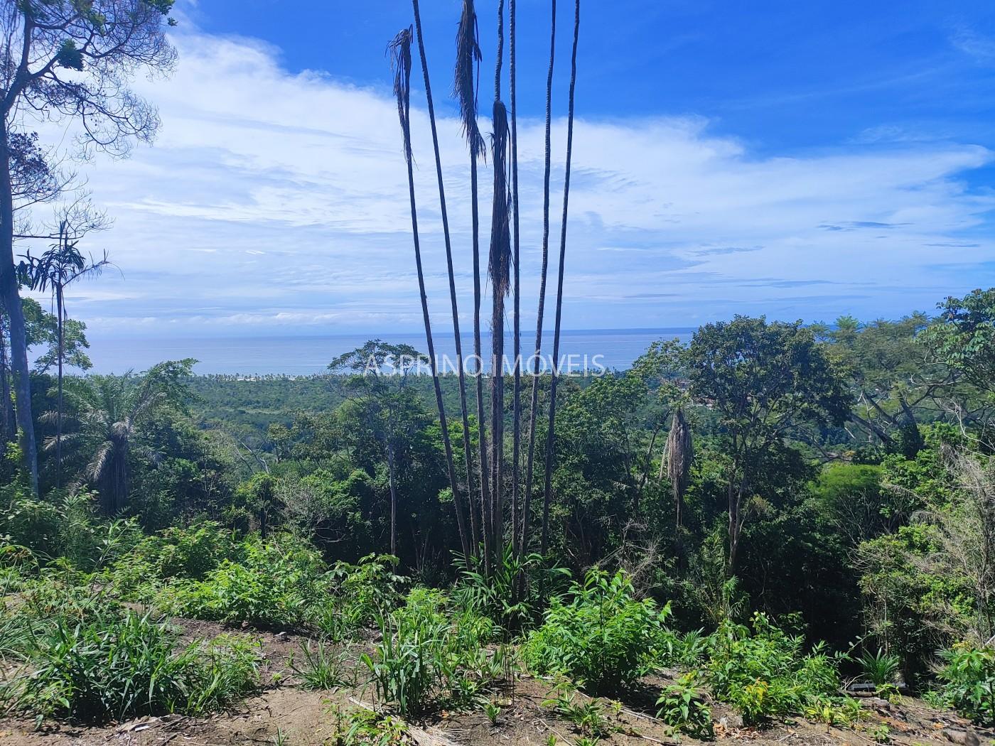 Chácara, 2 hectares - Foto 18