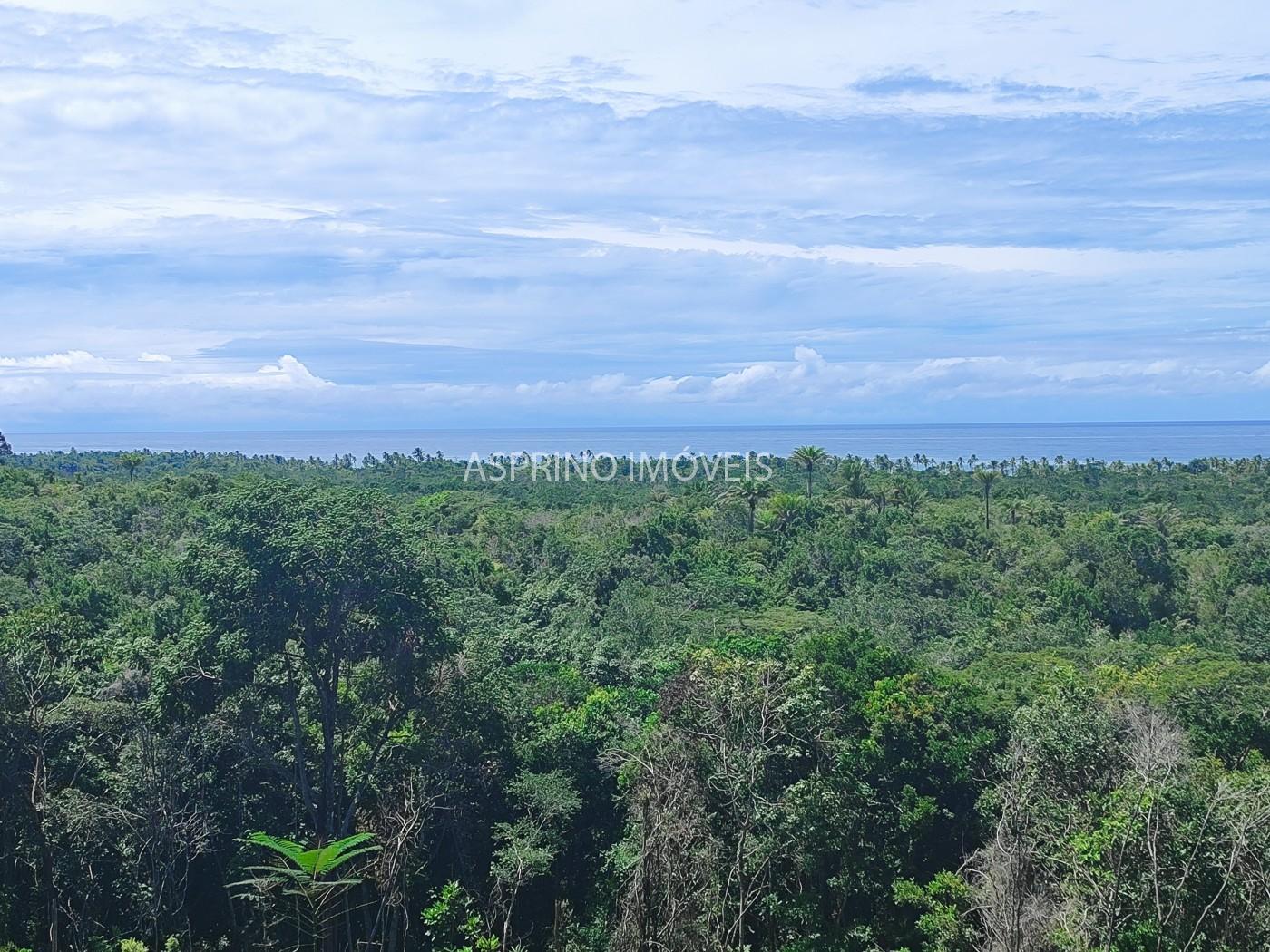 Chácara, 2 hectares - Foto 1