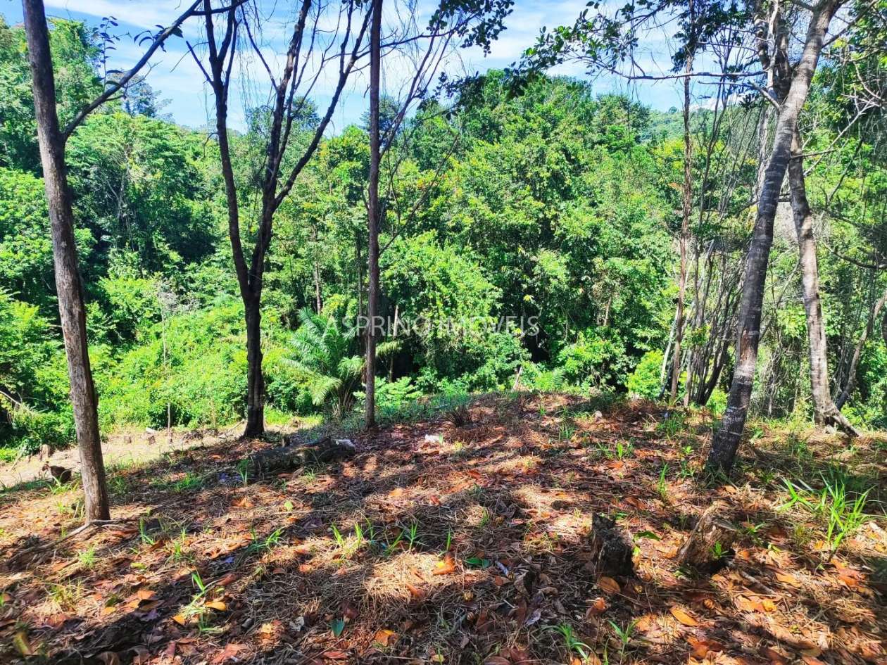 Chácara, 2 hectares - Foto 24