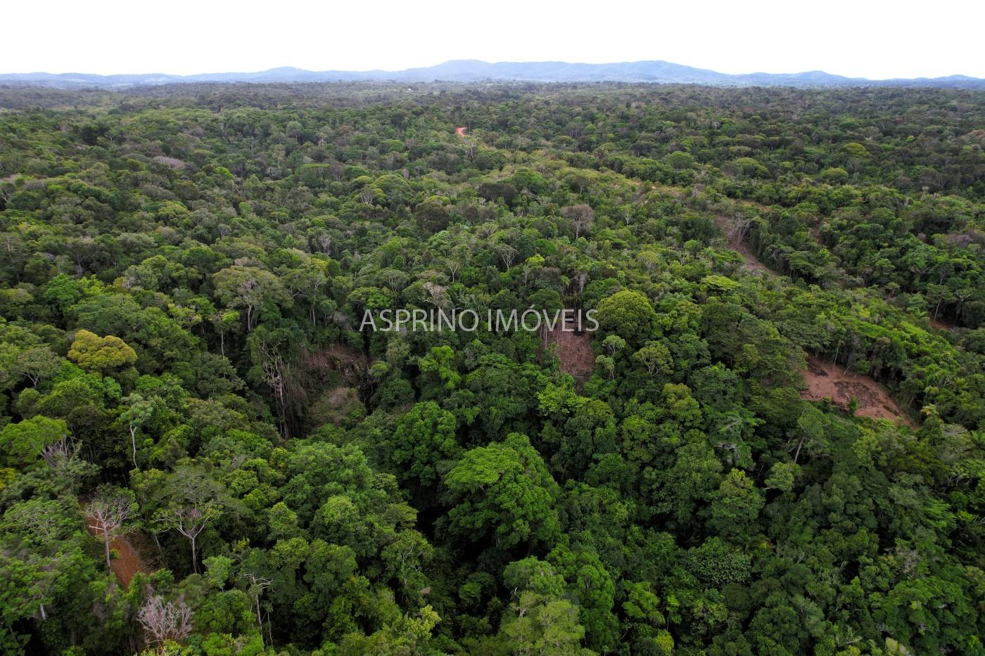 Chácara, 2 hectares - Foto 4