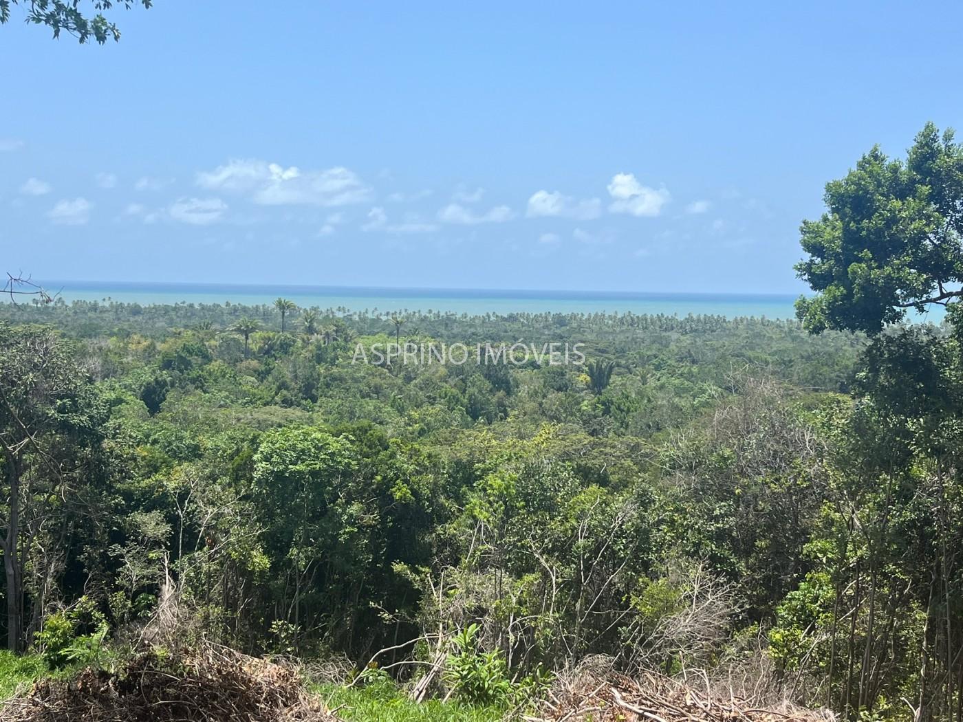 Chácara, 2 hectares - Foto 15