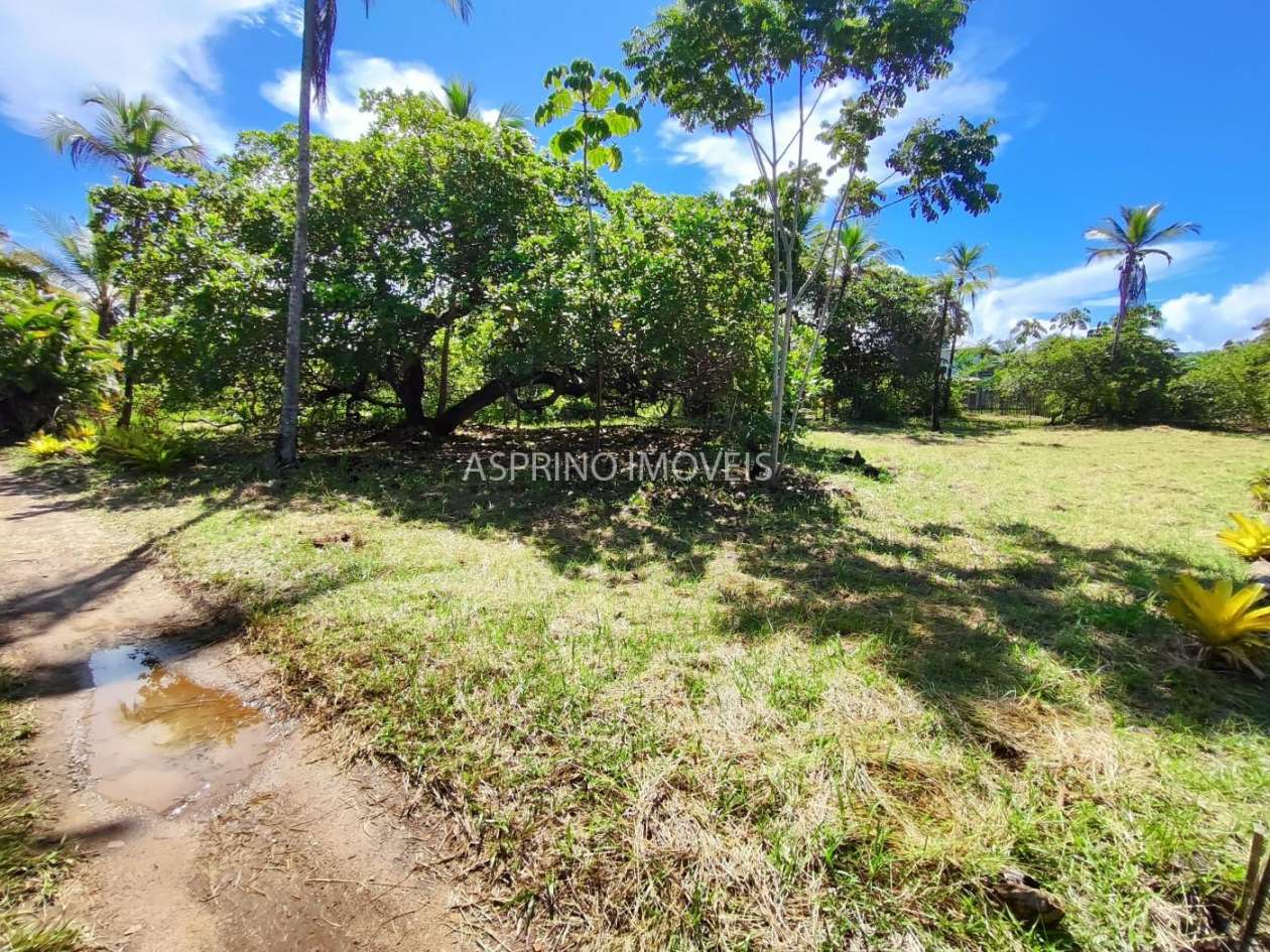 Terreno, 3344 m² - Foto 13