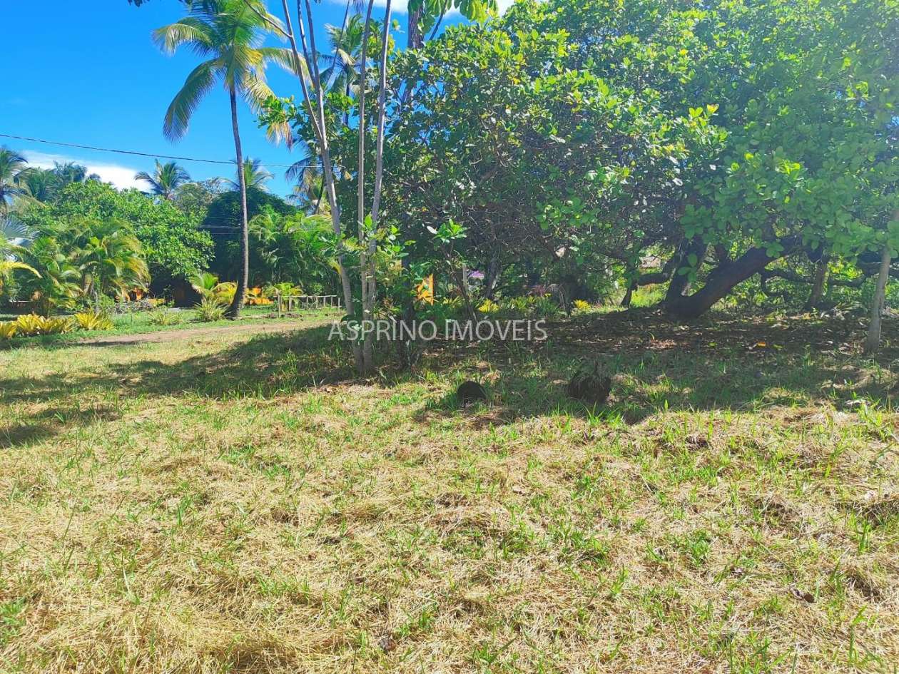 Terreno, 3344 m² - Foto 11