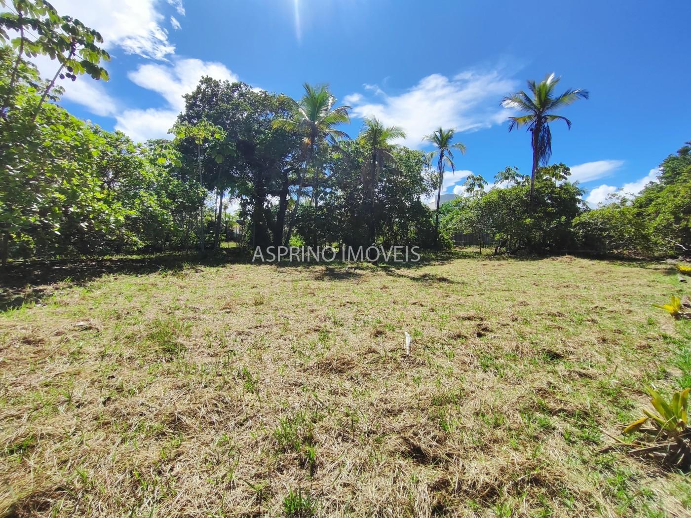 Terreno, 3344 m² - Foto 10