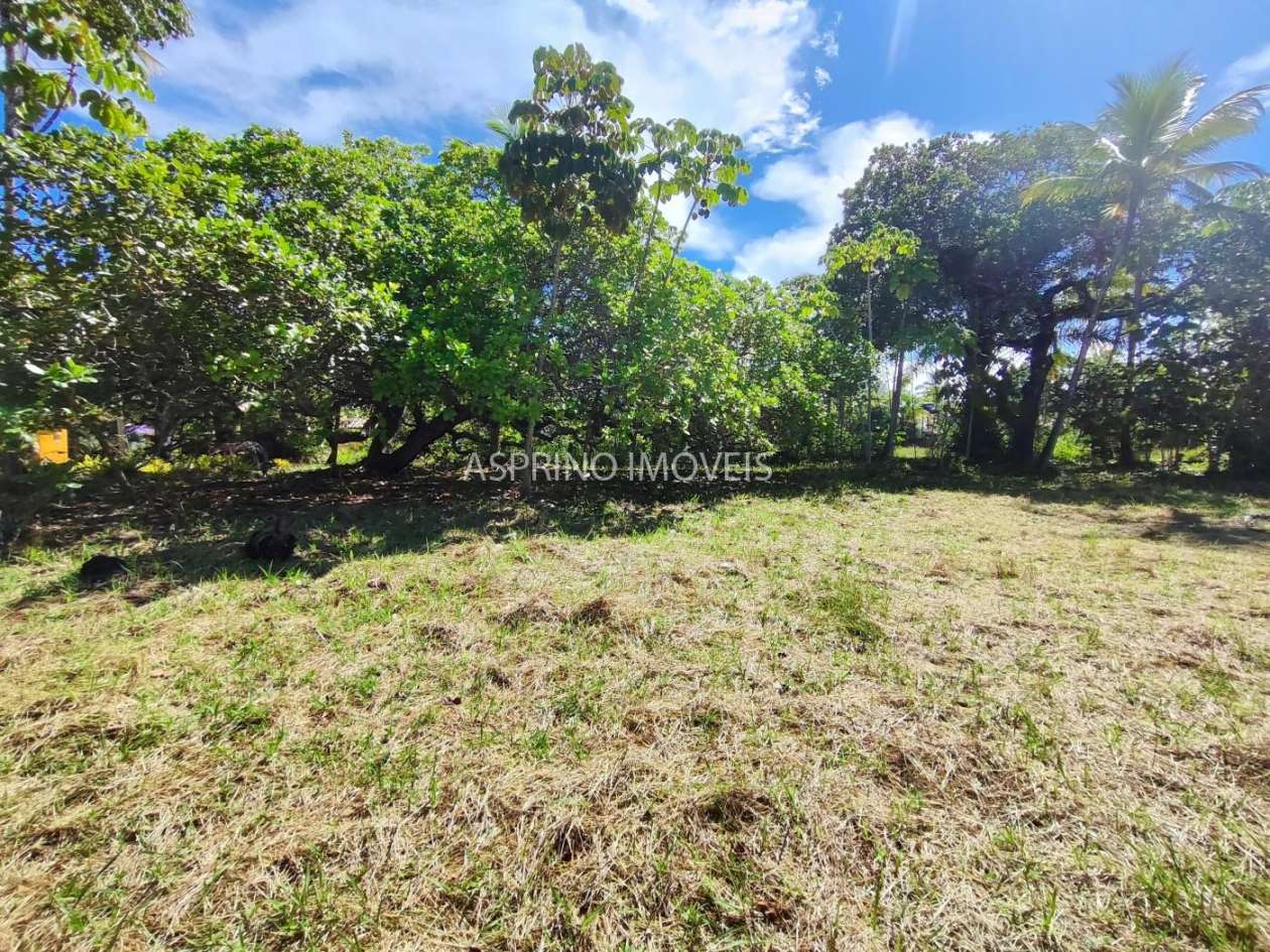 Terreno, 3344 m² - Foto 9