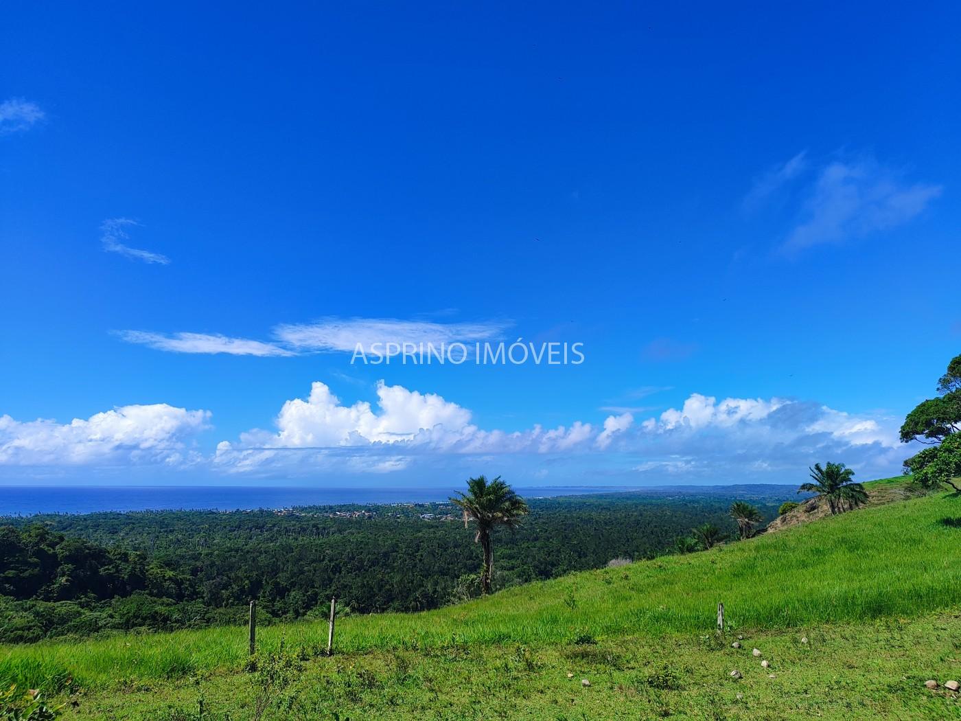 Chácara, 2 quartos, 70 hectares - Foto 1
