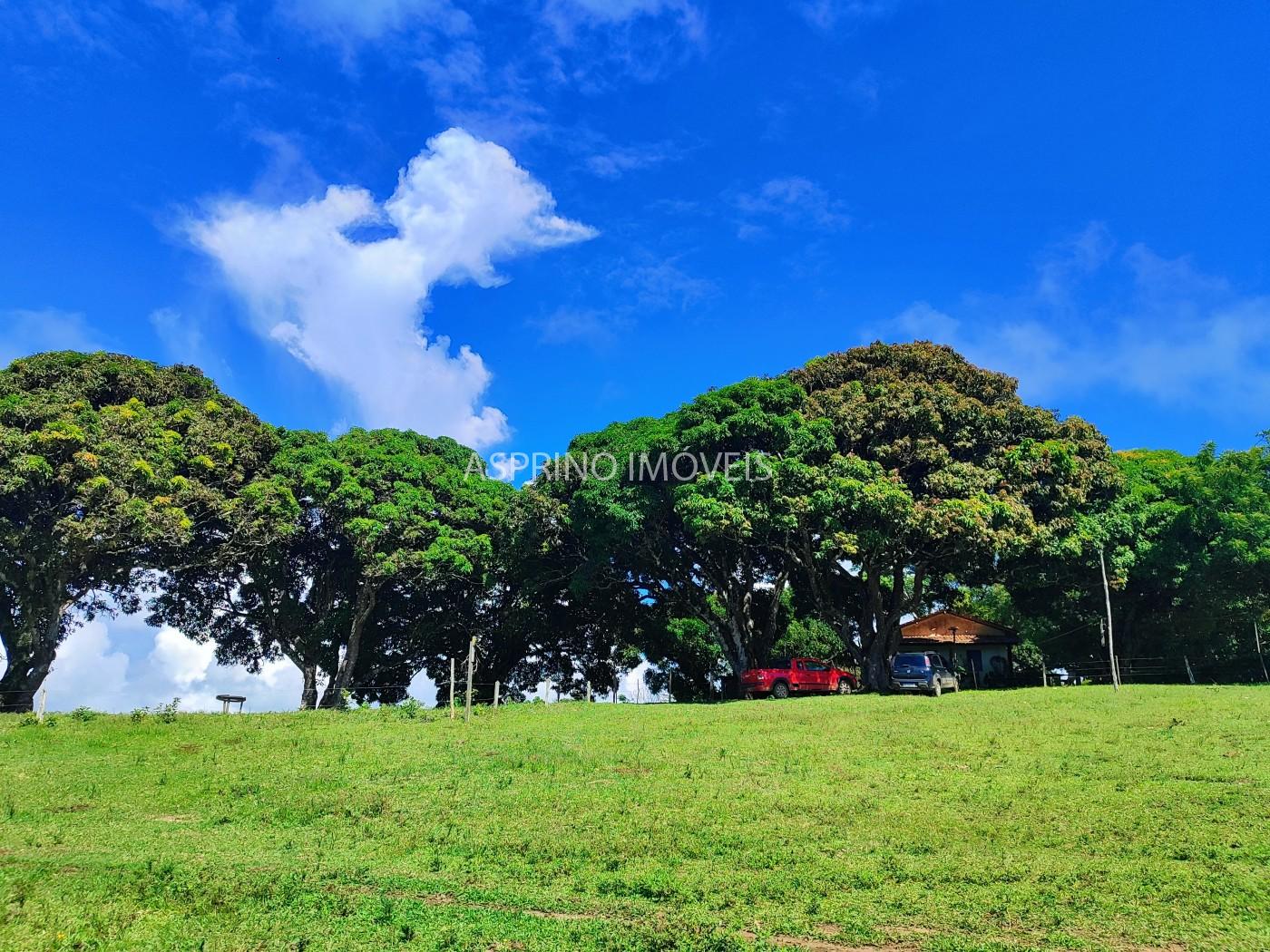 Chácara, 2 quartos, 70 hectares - Foto 25