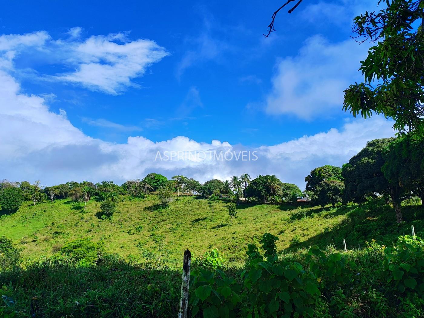 Chácara, 2 quartos, 70 hectares - Foto 3
