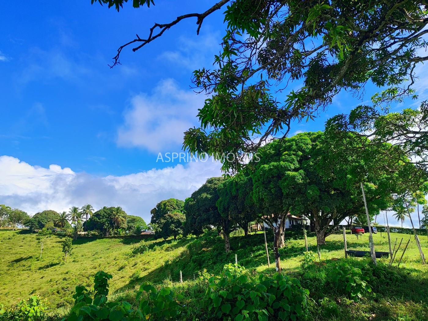 Chácara, 2 quartos, 70 hectares - Foto 4