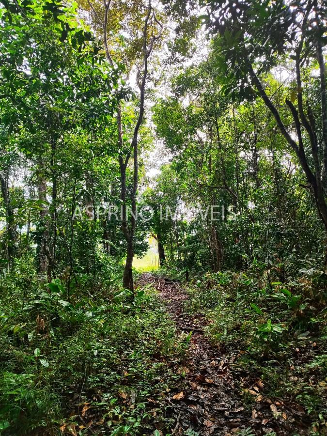 Chácara, 2 quartos, 70 hectares - Foto 30