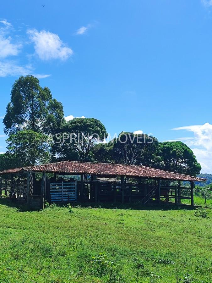 Chácara, 2 quartos, 70 hectares - Foto 26