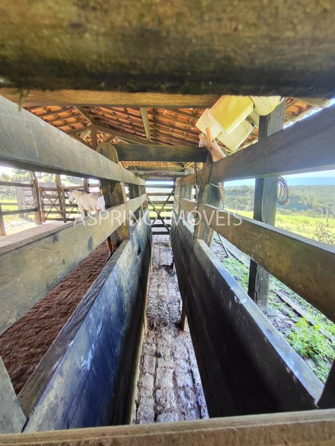 Chácara, 2 quartos, 70 hectares - Foto 28