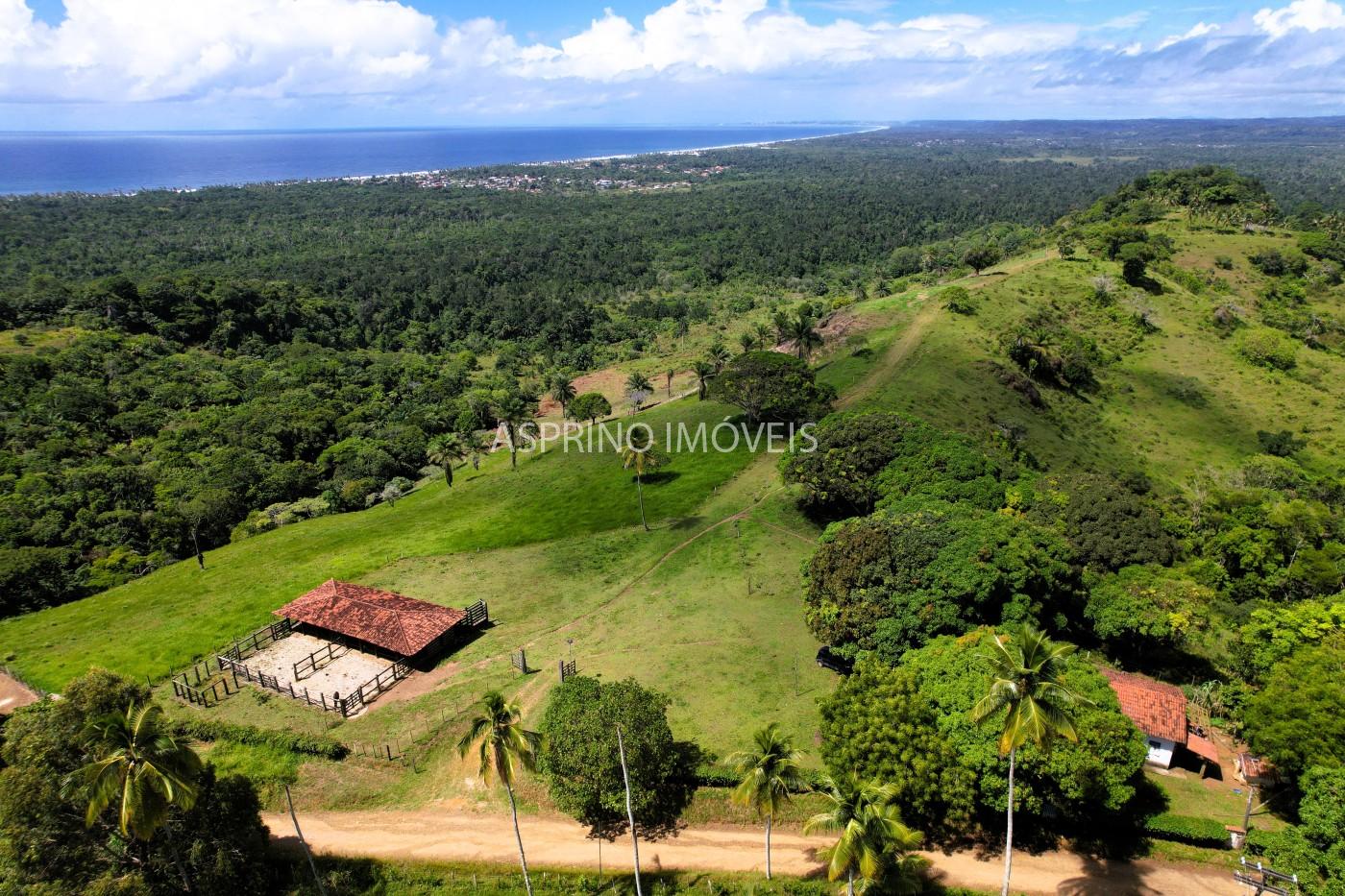 Chácara, 2 quartos, 70 hectares - Foto 9