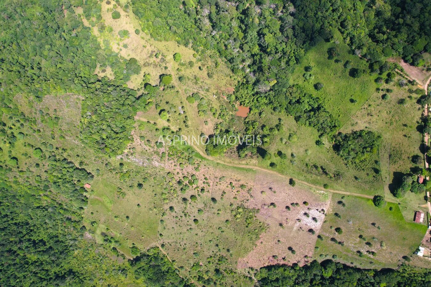 Chácara, 2 quartos, 70 hectares - Foto 23