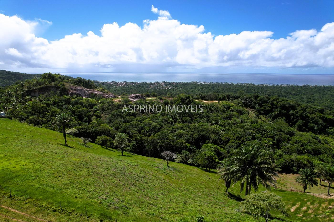 Chácara, 2 quartos, 70 hectares - Foto 19