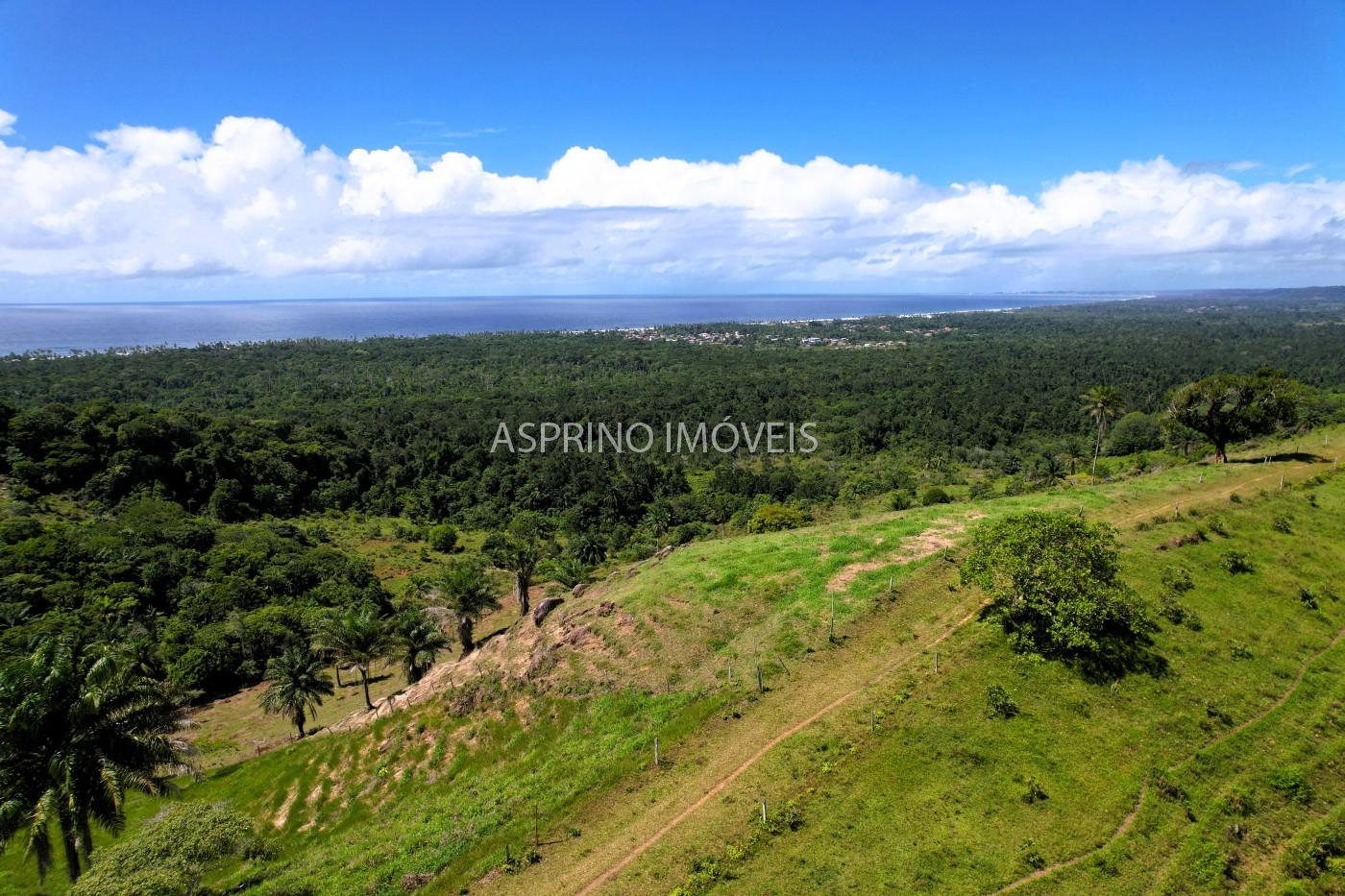 Chácara, 2 quartos, 70 hectares - Foto 20