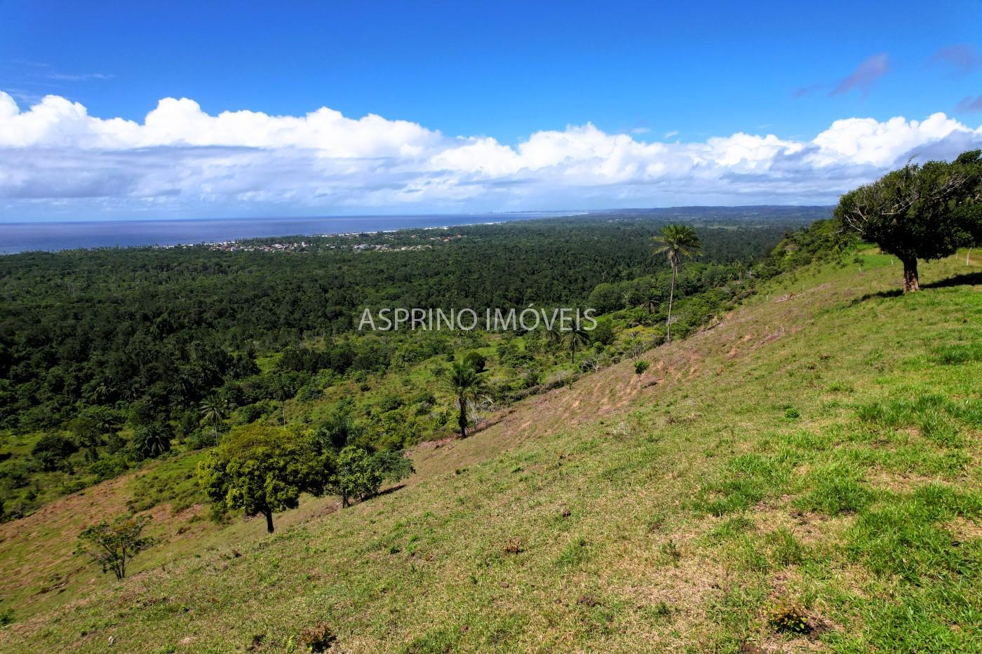 Chácara, 2 quartos, 70 hectares - Foto 22