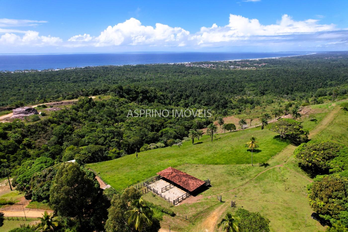 Chácara, 2 quartos, 70 hectares - Foto 8